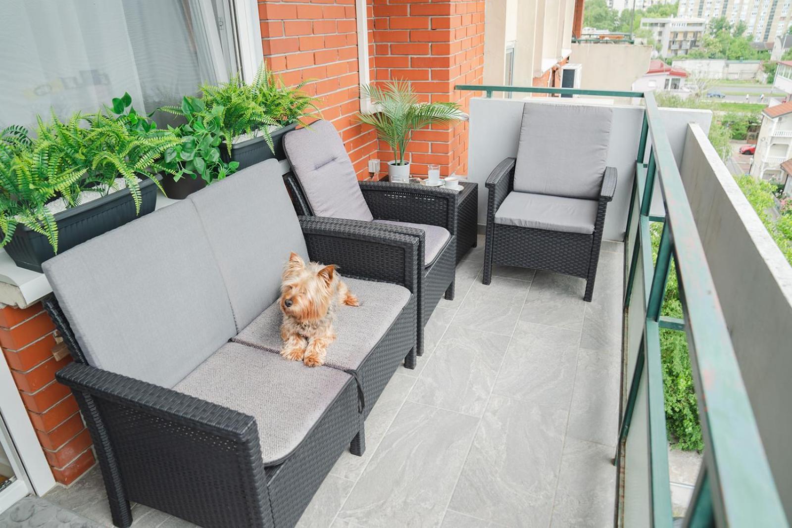 Casa De Dinca, 2 Bedroom, 6 Person, Free Parking Zone Ζάγκρεμπ Εξωτερικό φωτογραφία